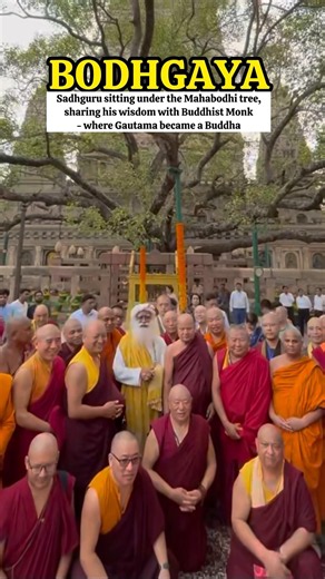 Sadhguru sitting Under the Sacred Maha Bodhi Tree at Bodh Gaya where Gautama became a Buddha 🙏