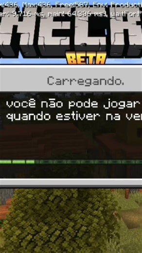 Estou jogando a versão beta, do minecraft.