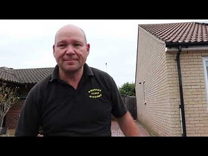 GK Black Spot Remover - Squeaky Clean Dave