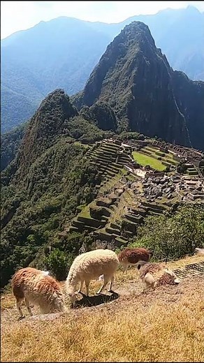 MACHU PICCHU: el legado eterno de los INCAS | Perú VIP 🇵🇪