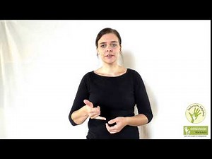 Babygebärde für ▷ Ja ◁ Babyzeichensprache | Zauberhafte Babyhände