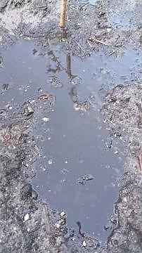How To Fix Hydrophobic Soil! #garden #plantproducts #gardendesign #growyourownfood #shorts