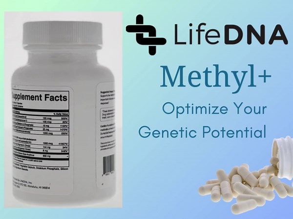 LIFEDNA Methyl + Methylfolate - Methylated Folate Vitamins Active 5-MTHF TMG Optimized Homocysteine, Brain, Cardiovascular Highly Bioavailable, MTHFR Supplement