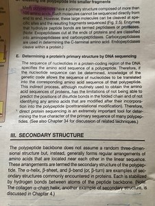The text describes protein primary and secondary structures. Ke... | Filo