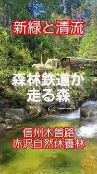 【新緑と清流tと…】#信州木曽路#赤沢自然休養林#新緑#清流#森林鉄道#トロッコ電車