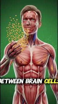 What Happens to Fried Chicken Inside Your Body #digestion #science