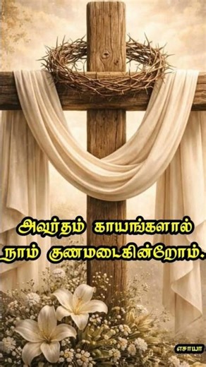 புனித சனி/நீ மீண்டும் துளிர்த்து அரும்புவாய்.காத்திரு.(எசாயா 30:18)