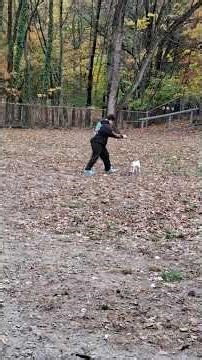 she didn't get the concept of fetch at first