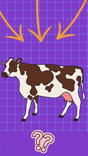 What's In The Picture? (TESTING YOUR VISUAL IQ)