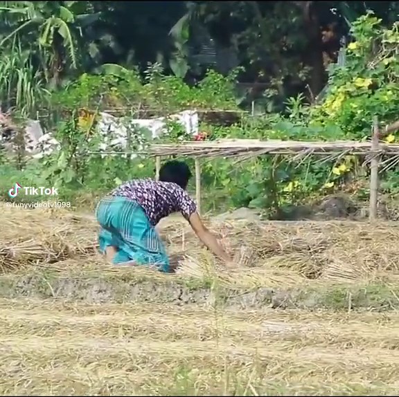 what's #prank pranks 🤣🤣🤣