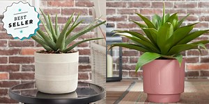 The Coolest Gifts You Can Get at Walmart, According to Our Gift Editors