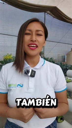 56K views · 676 reactions | Desmontando mitos y leyendas sobre hidroponía ese es un video más con Lizeth Ruiz de LETHAM Perú, si quieres aprender Sigue la página. #lethamperu #agriculturamoderna #lima #AgriculturaSostenible #asesoria | Letham Perú | Facebook