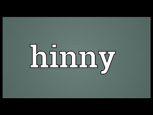Hinny Meaning