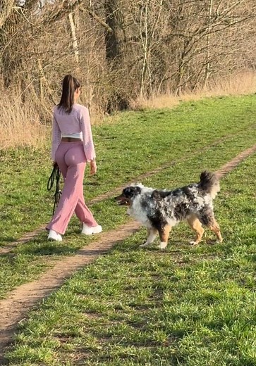 Australian Shepherd Moments That Will Make You Smile