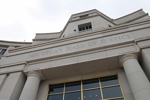 Michigan judges must use preferred pronouns in court come 2024