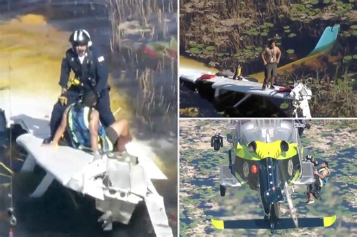 Florida pilot spends night in gator-infested swamp after crashing small plane in Everglades