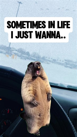 Stress and Excitement in Memes