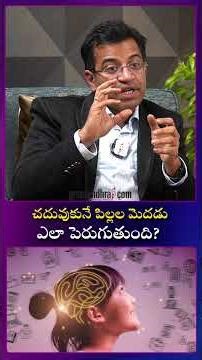 చదువుకునే పిల్లల బ్రెయిన్ ఎలా పెరుగుతుంది : How Children’s Brain Develops | How Kids’ Brain Grows