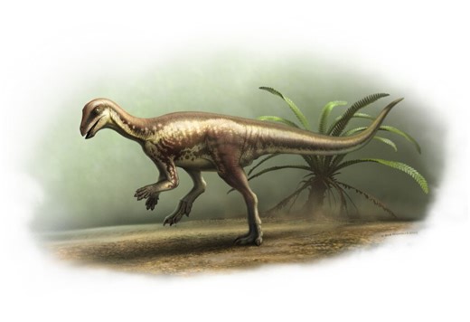 New dog-sized dinosaur species discovered