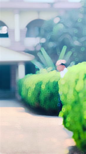 My College Experience: Memories and Insights