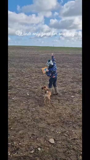 15K views · 405 reactions | Learning how to fly a kite on a windy day ❤️ | No Verbal Filter | Facebook