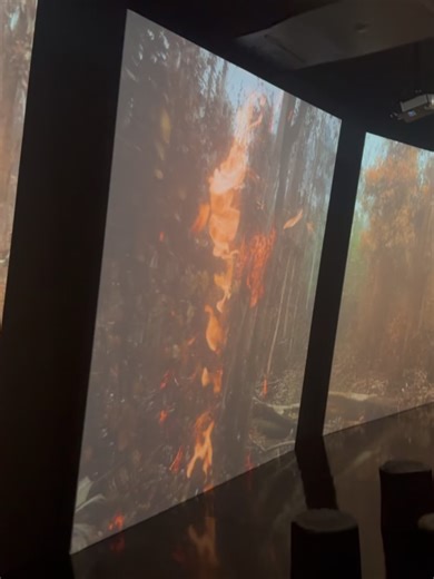 3.2K views · 178 reactions | Regina Casé on Reels | Facebook