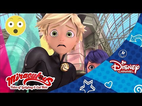 Zpívej a tanči | Kouzelná Beruška a Černý Kocour | Disney Channel Česká republika