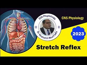 Stretch Reflex (2-2023) by Dr Khaled A Abulfadle