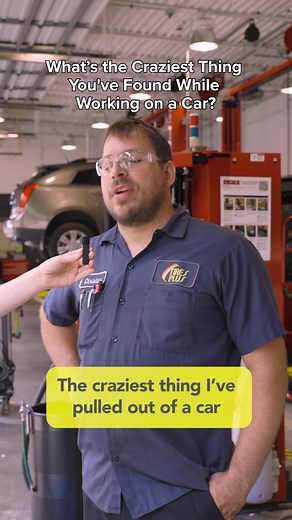 Unusual Finds at Tires Plus: Rats, Blades, and Cats!