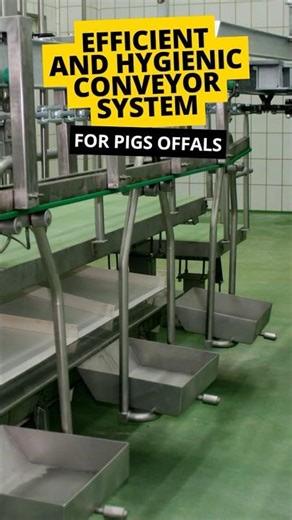 🐷 PORK WHITE OFFALS CONVEYOR | Efficient and Hygienic System (Part 14)