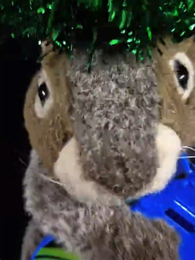 Bad Reputation Joan Jet #fyp #squirrel #puppet #music #singing