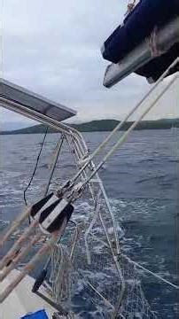 The chase: Elan 295 vs Elan 333