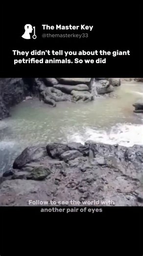 The Master Key on Instagram: "They really thought we wouldn't notice, huh? Those massive rock formations you've been told are just "natural geological features"? Yeah, let's talk about that. Look at Devil's Tower in Wyoming. Perfect hexagonal columns rising straight up. They say it's cooled magma. But zoom out - doesn't it look exactly like a massive tree stump? And those "columnar basalt" formations all over the world? Same pattern. Same geometry. All cut at similar heights. Then there's the pe