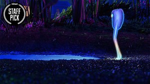 3.5K views · 26 reactions | This roadkill was full of beautiful life lessons. https://vim.io/2FyVQrv | Vimeo | Facebook