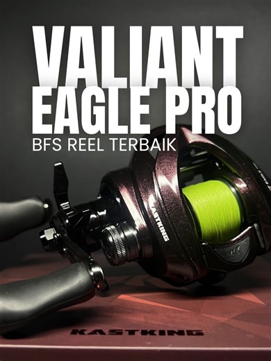 Review of KastKing Valiant Eagle Pro Fishing Reel