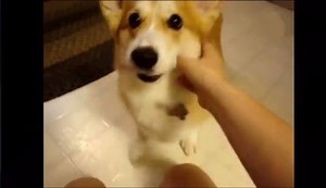 That's my food 😍 | So Cute