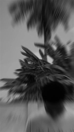 New sound guys🚨🚨 Cc:me use and tag me for repost @BOI CHASE