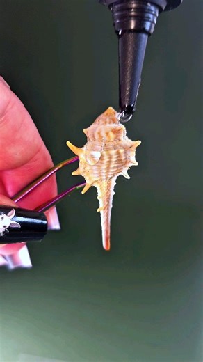 Real Shell Keychain – Ocean in Your Pocket More ideas and creations — on my YouTube channel. Link in bio! #resinkeychain #seashellcraft #handmadewithlove #oceanvibes #beachinspired #resinart #diyjewelry #coastalstyle #epoxyresin #creativeroom | Ольга Журавлева