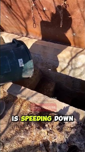 Opening a literal SNAKE PIT! 😱⚠️ #snake #dangerousadventures #automobile