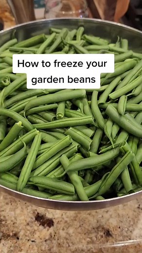 How to Freeze Green Beans from the Garden