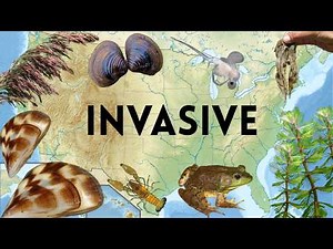 12 Invasive Species Destroying Fisheries
