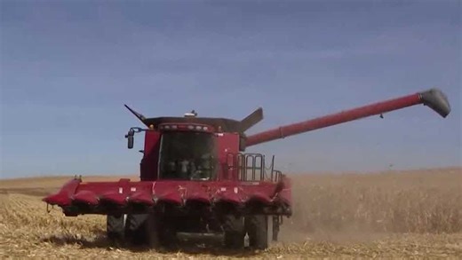 'A long-term approach': Nebraska farmer's regenerative farming practices
