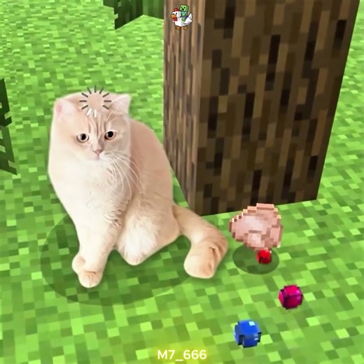 ☠️Cat ☠️ #minecraft #notch #minecraftanimation #steve #alex #cat #cute