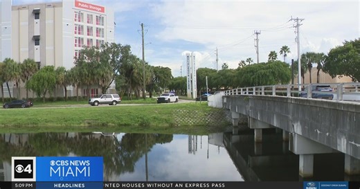 Man arrested after jumping in canal and injuring FHP trooper, authorities say