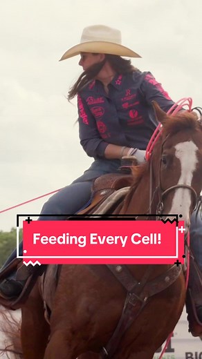 Total Equine Nutrition for Optimal Horse Health