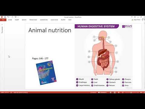 Animal nutrition