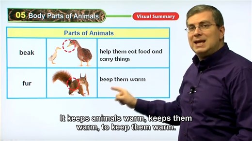 美国中小学纯英文教学--自然科学Science 1-5