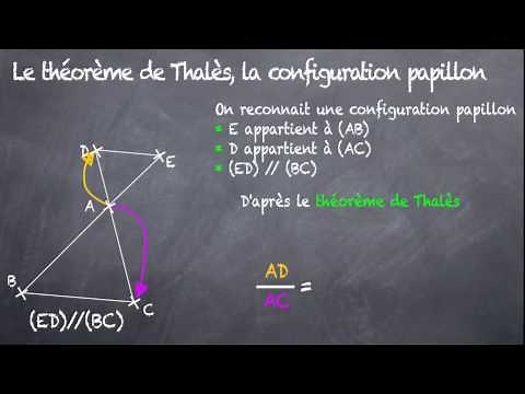 Théorème de Thalès : Configuration papillon (3eme)