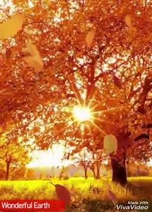 Wonderful Earth on Reels