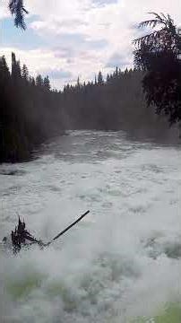 This Waterfall Is Pure Power 💥 | Dawson Falls BC🇨🇦🌊